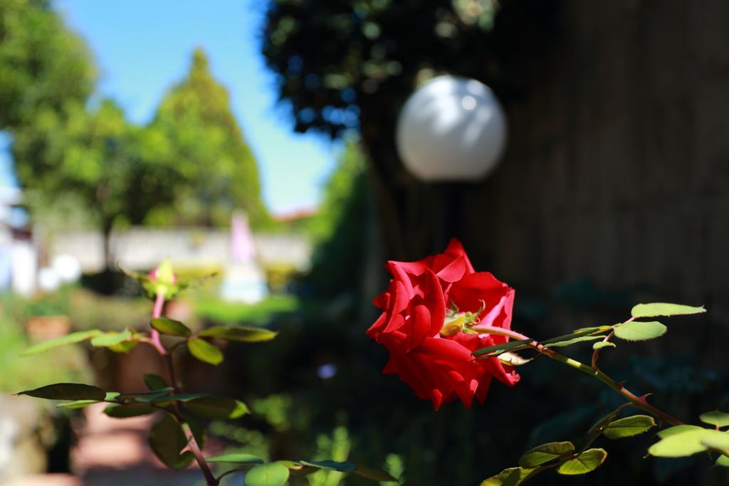 Ambrosio Relais Bed & Breakfast Sorrento