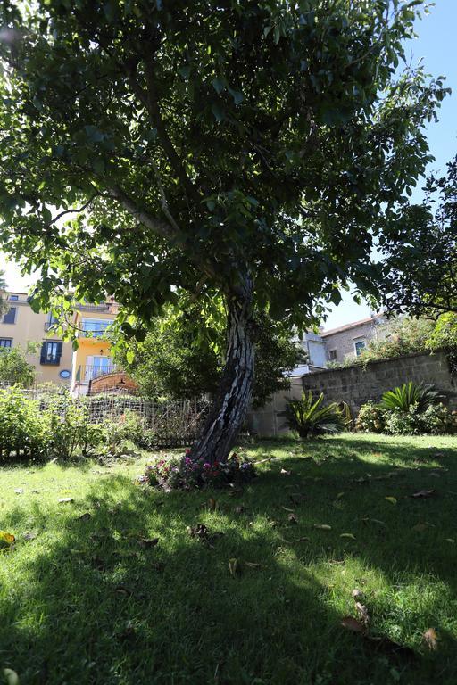 Bed & Breakfast Ambrosio Relais