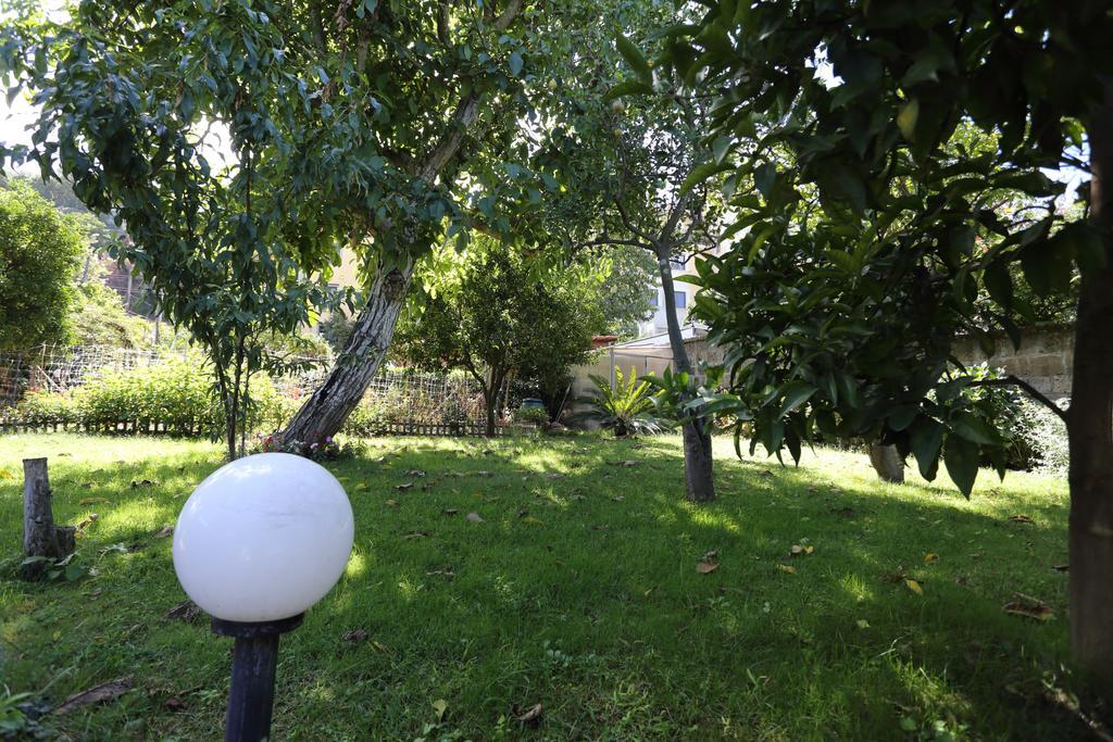 Ambrosio Relais